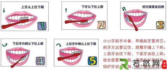 刷牙前用牙刷沾水？教你正确刷牙方法