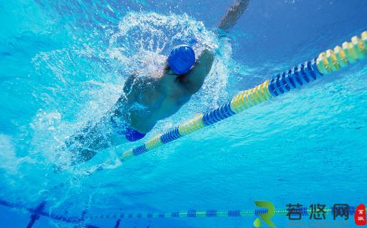 仰泳的技巧介绍-仰泳的动作要领