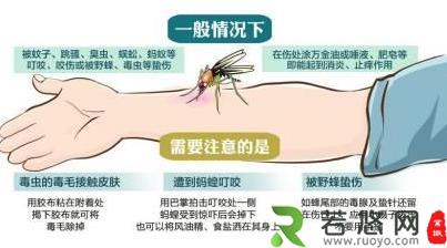 被毒蚊子咬了怎么办？蚊子咬了怎么消肿止痒