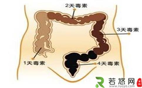 肠道藏毒