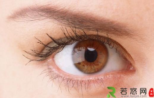 眼睛发肿缓解奇招 按摩眼皮促进血液循环