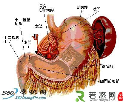 炒红枣治疗胃病