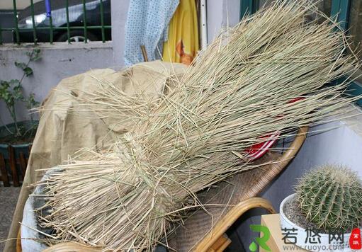 引起胆囊炎的原因-小麦秆代茶饮治胆囊炎