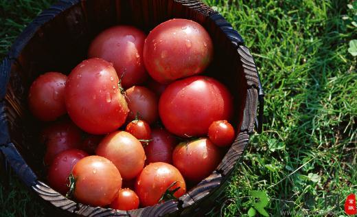 吃西红柿的5个禁忌你都了解么？