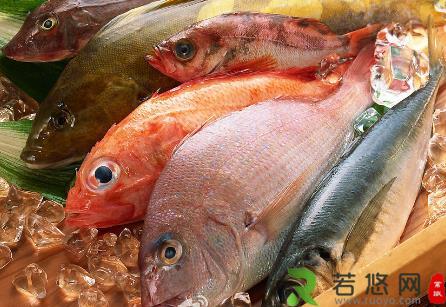 吃哪种鱼可补肝益气？各种鱼肉的保健功效