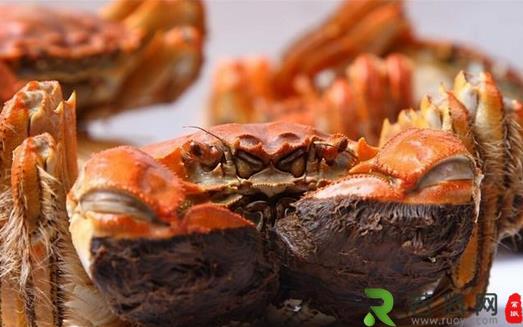 什么人不能吃螃蟹？吃螃蟹的饮食禁忌