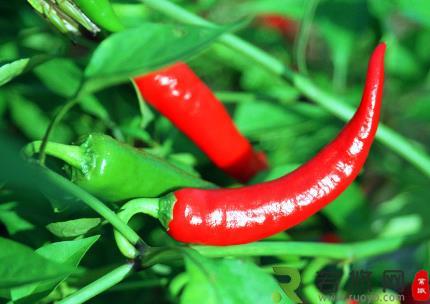 吃辣椒的好处和坏处：7种人最好不要吃辣椒