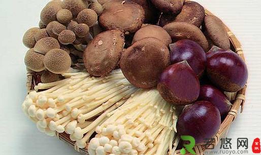 挑选蘑菇有五大妙招 教你各种菇挑选方法
