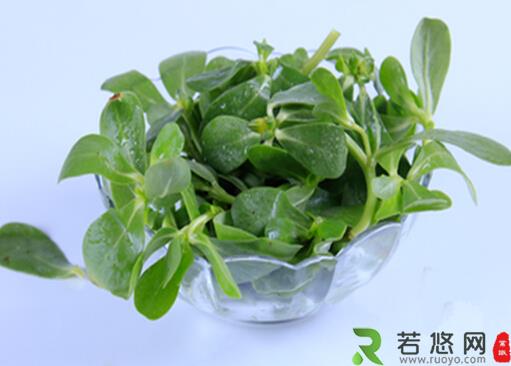 凉拌菜怎么吃才健康？吃凉拌菜最好放抗菌菜