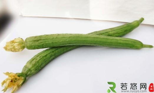 夏季常吃丝瓜有保健作用