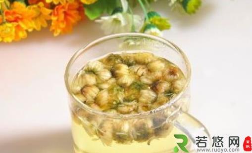 菊花茶怎么饮用好？哪些人不宜喝菊花茶？