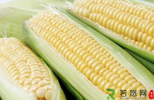 多吃玉米能预防肠癌吗？如何通过饮食预防肠癌