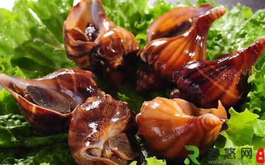 关于食用海螺的饮食禁忌与选购方法