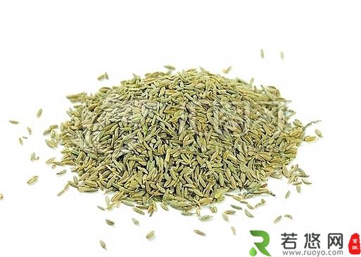 每日3克孜然有助降脂减肥-孜然的作用