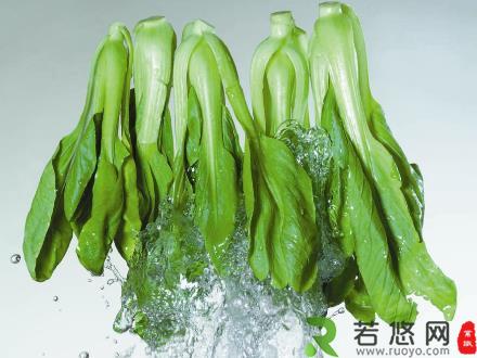 如何选购油菜？油菜的食用禁忌