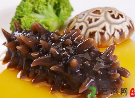 海参不能和什么一起吃？海参的5大食用禁忌