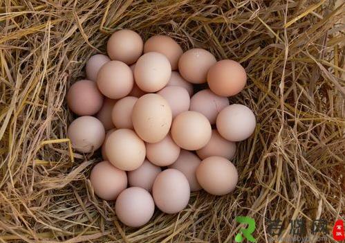 散装鸡蛋保质期多长时间？长时间存放鸡蛋营养易打折