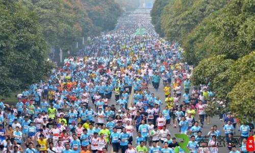 2016年武义县半程马拉松赛