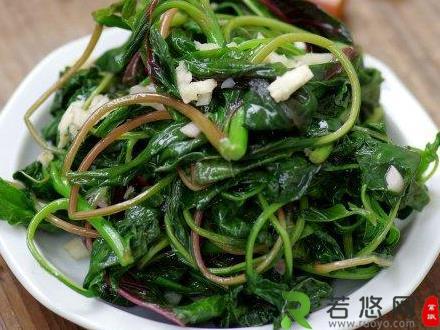 山野菜的营养价值：营养丰富无污染成餐桌上的新宠