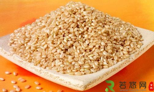 主食也养生 盘点最健康的六类“保健米”