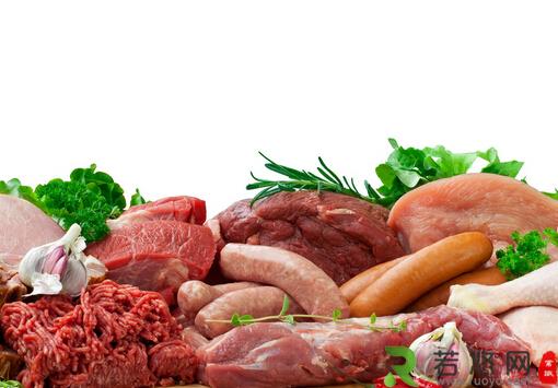 肉类保鲜技术-肉类的基本分类
