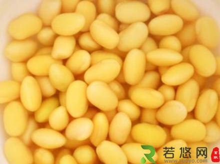 醋泡黄豆的功效与作用-醋泡黄豆的做法-醋泡黄豆的营养价值