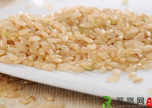 糙米的营养价值-糙米的功效与作用
