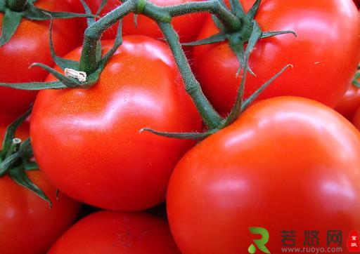 如何选购西红柿？什么颜色的番茄最好