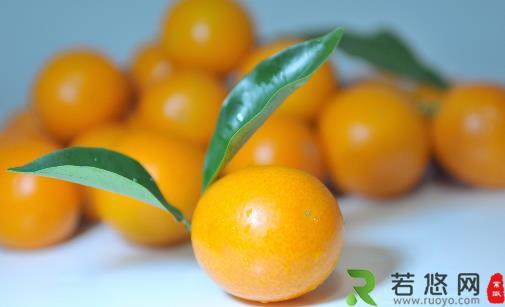 小金橘的功效与作用 金橘食用方法