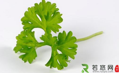 欧芹的简介 欧芹怎么做？