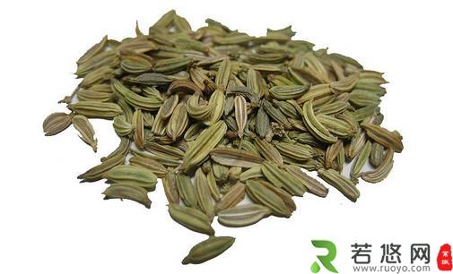 茴香有6大作用 茴香怎么吃？