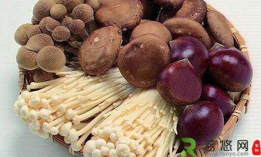 常吃蘑菇益气健脾养胃 盘点蘑菇的功效