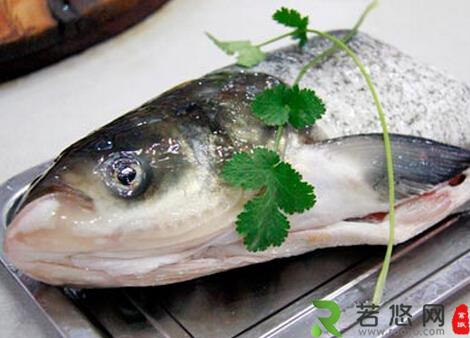 食用青根鱼的注意事项-青根鱼的营养价值