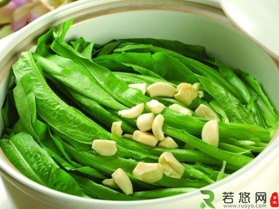 油麦菜的营养价值-油麦菜的食用禁忌