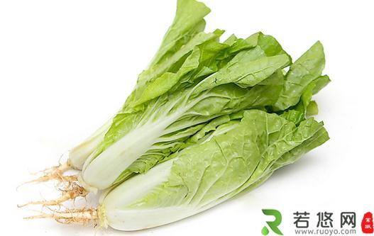 小白菜怎么做？小白菜的简介