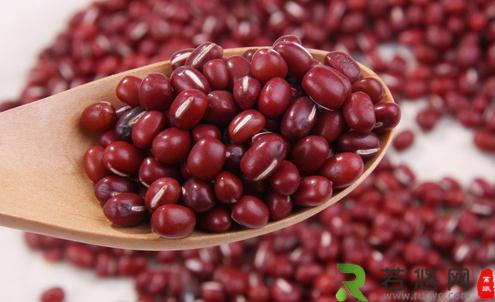 红豆和赤小豆有什么区别 赤小豆的营养有哪些