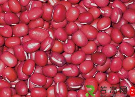 红小豆的营养价值-红小豆的功效与作用
