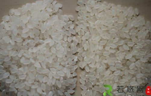怎样区分新米和陈米？如何辨别大米的质量