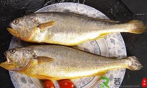 黄花鱼有什么营养价值？孕妇能吃黄花鱼吗？
