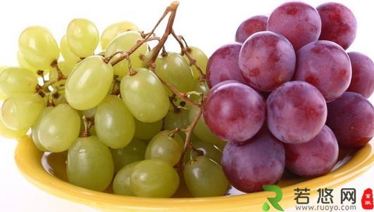 葡萄的功效与作用 葡萄的18种食疗处方