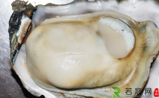 牡蛎为营养丰富的食品 美味牡蛎食谱