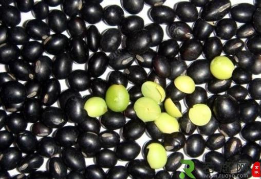 黑豆的营养价值-黑豆的功效与作用