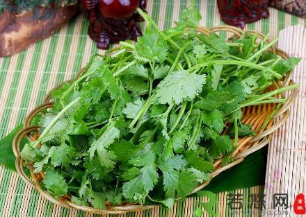 香菜怎么吃？香菜的营养价值、功效与作用