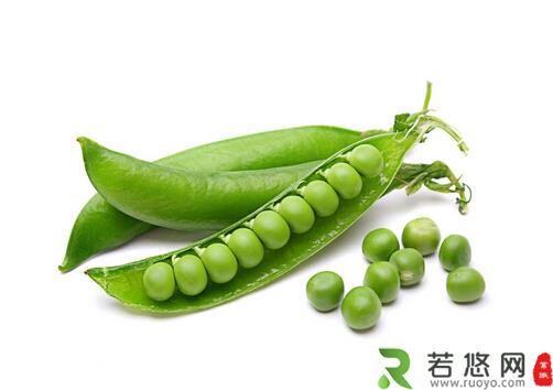 豌豆的营养价值-豌豆的做法