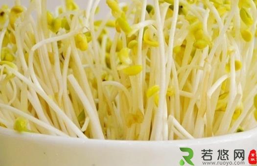 黄豆芽和绿豆芽哪个营养价值更高