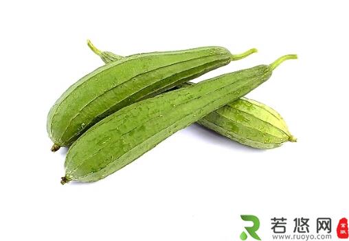 丝瓜的营养与功效-丝瓜的食疗方法