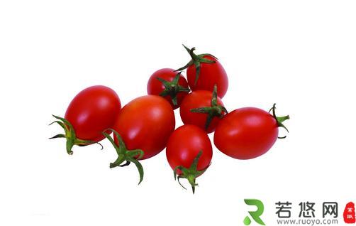 圣女果和大番茄哪个营养高？
