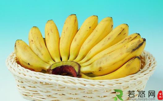 吃香蕉的好处和禁忌 营养虽多也不宜过量食用