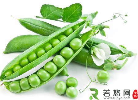 吃豌豆有什么好处？豌豆的功效与作用及禁忌