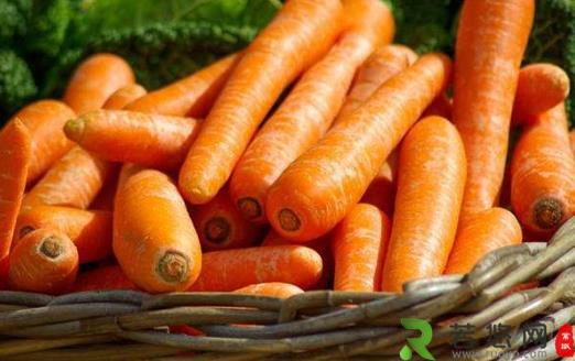 胡萝卜里有哪些可以防癌的物质